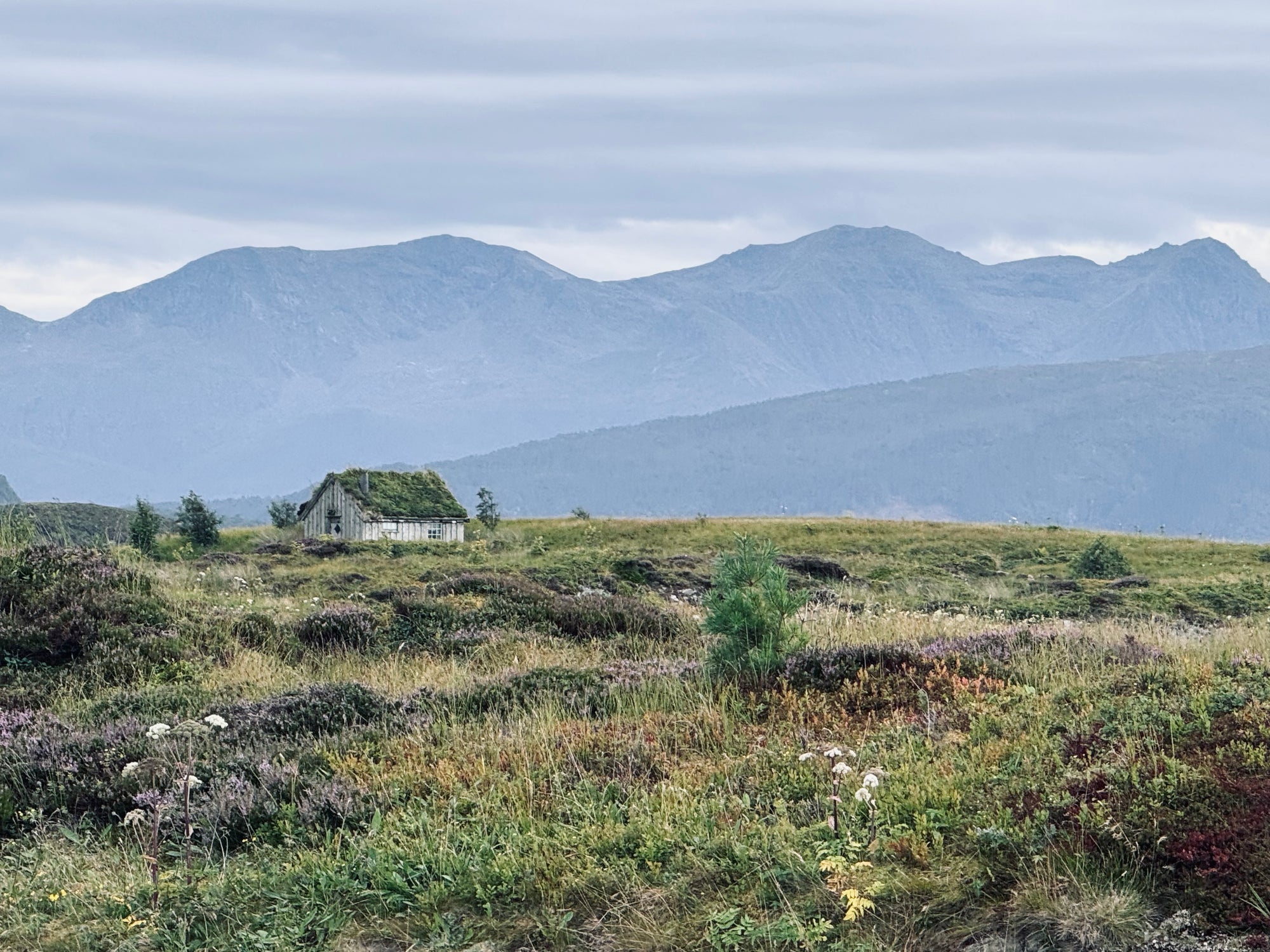 A scenic landscape photograph featuring a small white cottage with a green grass roof situated in a grassy, wild meadow, with large blue-gray mountains in the background under a cloudy sky.